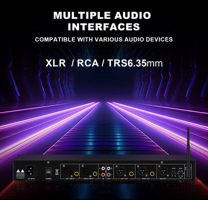 EQ31SUB Digital Equalizer 31 Stage Tuner Professional Stage Performance Noise Reduction Audio Processing