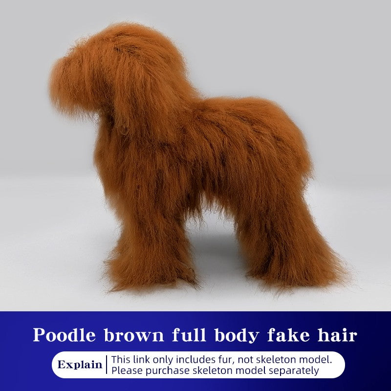 Simulador de pelos de animais de estimação beleza falsa esteticista praticando poodle padrão esqueleto de corpo inteiro modelo de cachorro para tosa