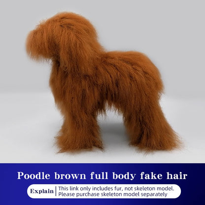 Simulador de pelos de animais de estimação beleza falsa esteticista praticando poodle padrão esqueleto de corpo inteiro modelo de cachorro para tosa