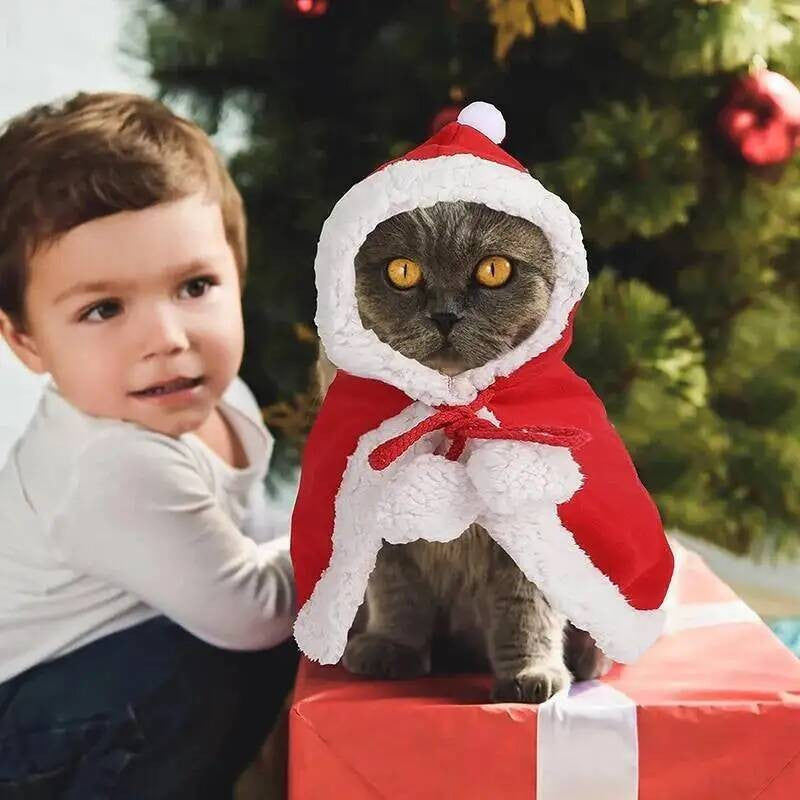 Fantasia de Natal para Gato Papai Noel Cosplay Engraçado Transforma Gato Cachorro de Estimação Capa de Natal Roupa de Inverno para Vestir Cachecol Vermelho Manto Adereços Decoração