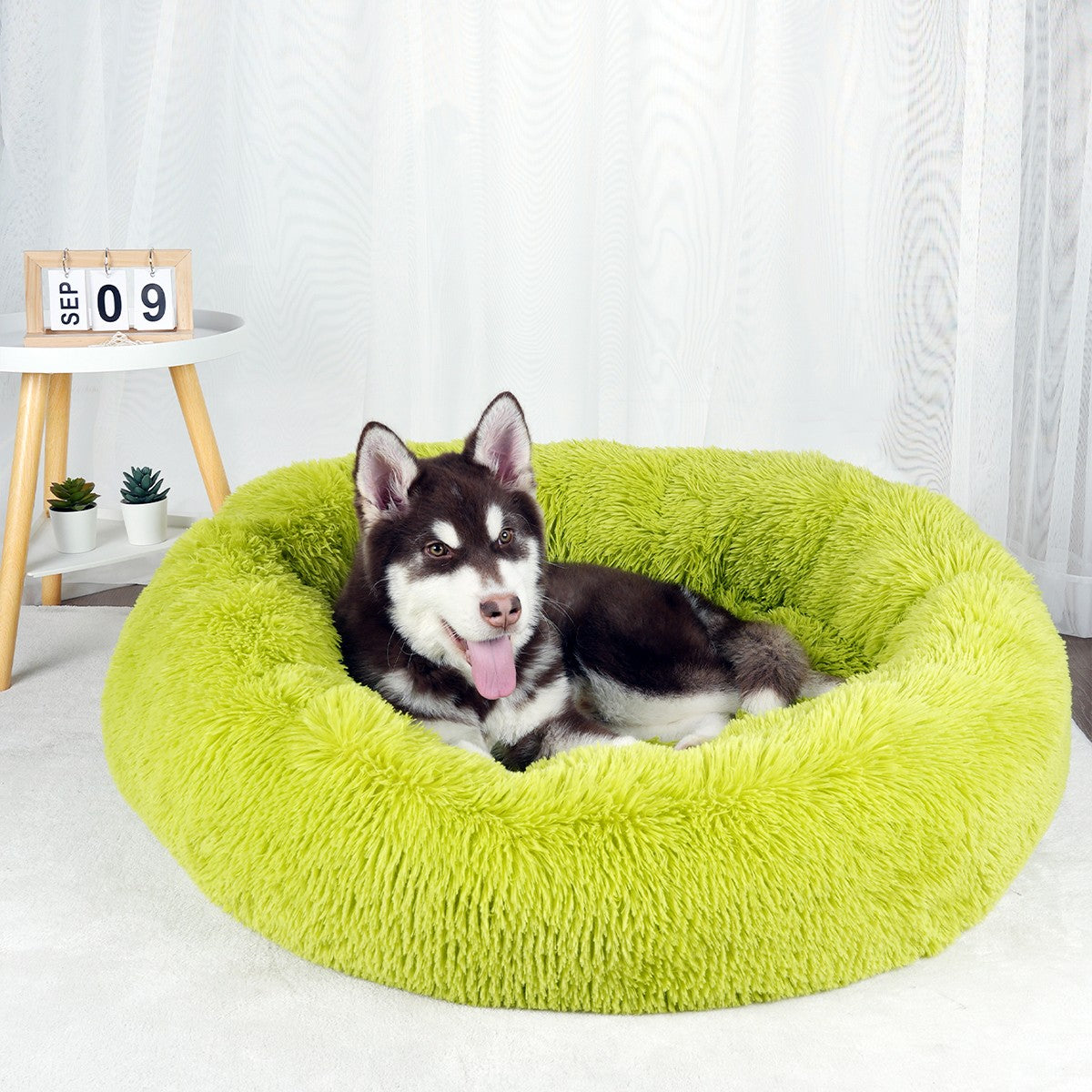 Cama para Cachorro, Donut Grande Redondo, Cesta Pelúcia de Inverno para Cães Médios, Acessórios, Casinha Fofa, Pequeno, Filhote, Animais de Estimação, Gato, Produtos