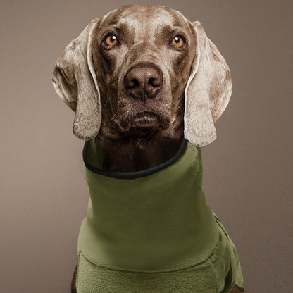 Winter Pet Dog Clothes Warm Big Dog Coat Puppy Clothing Pet Vest Jacket For Small Medium Large Dogs Golden Retriever