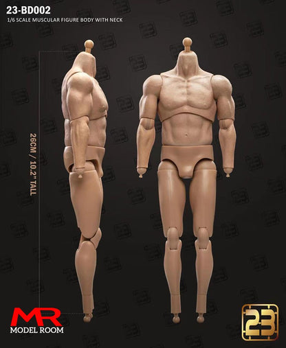 23TOYS 23-BD001 1/6 Scale Male Soldier Joint Body 23.5cm - 27.5cm Male Standard Muscle Action Figure Articulate Body