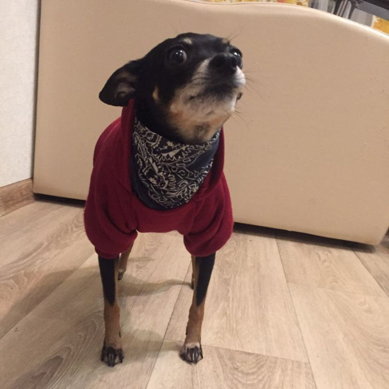 Moletons Sólidos para Cães Roupas para Pets Pequenos Casacos Jaquetas Moletom para Chihuahua Fantasia de Gato Roupinhas de Algodão para Pets