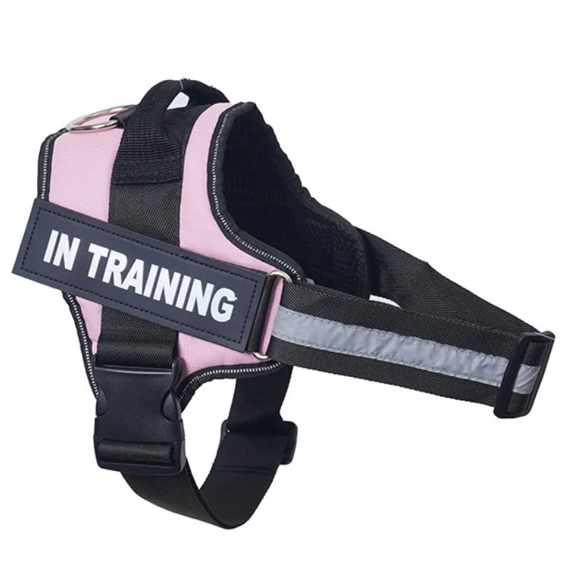 Coleira Personalizada para Cães Colete Reflexivo Ajustável Sem Puxar para Cães de Pequeno Médio Grande Porte, Atacado