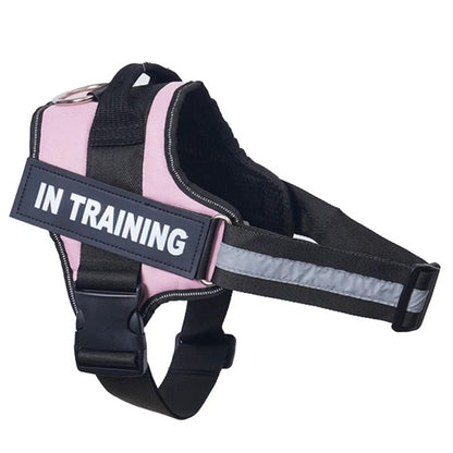 Coleira Personalizada para Cães Colete Reflexivo Ajustável Sem Puxar para Cães de Pequeno Médio Grande Porte, Atacado