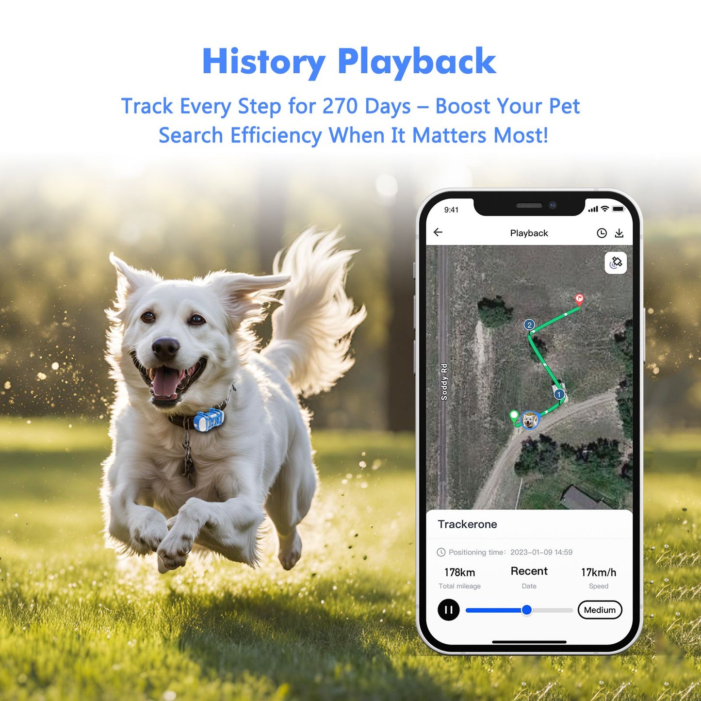 Rastreador GPS 4G para Cães e Gatos - Localizador Inteligente à Prova d'Água com Aplicativo, Rastreamento em Tempo Real e Busca por Luz/Som com Assinatura