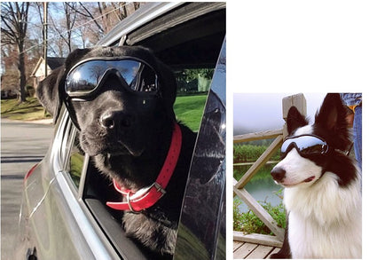 Óculos transparentes para cães de estimação à prova d'água, à prova de vento, protetor solar, resistente a raios UV para cães grandes