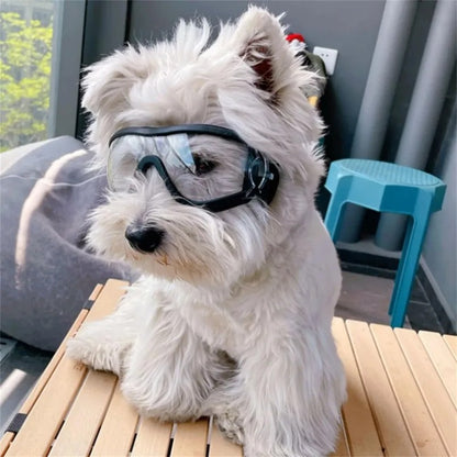 Óculos transparentes para cães de estimação à prova d'água, à prova de vento, protetor solar, resistente a raios UV para cães grandes