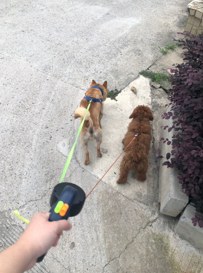 3m Retractable Dog Leash For Small Dogs Reflective Dual Pet Leash Lead 360 Swivel No Tangle Double Dog Walking Leash With Lights