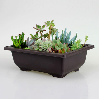 Vasos de Flores Retangulares de Argila Roxa Imitando Vasos para Plantas de Jardim ao Ar Livre Paisagismo Bonsai macetas para plantas