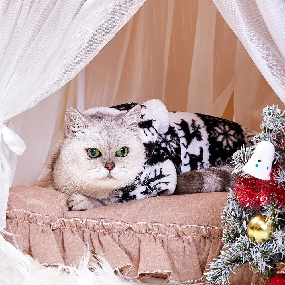 Roupas de cachorro de Natal de inverno Macacão de cachorro de pelúcia quente Pijamas para cães médios pequenos Para baixo Gatos Parkas Filhote de cachorro ???? Roupa para cães