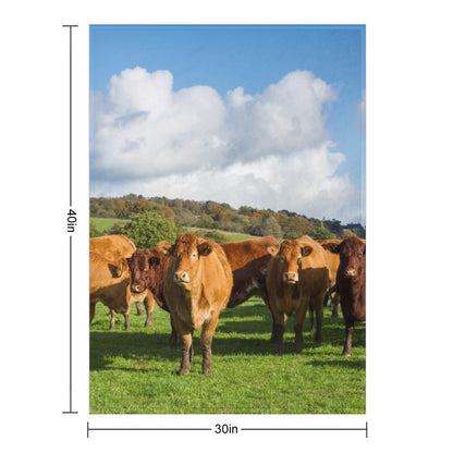 Mantas Pesadas e Macias de Vaca Limousin, Cobertor Fofo
