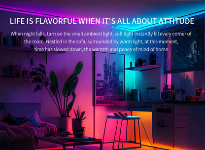 WS2811 COB LED Strip Pixel Addressable WS2812B 720 LEDs RGB Dream Color High Density Flexible COB Lights Black White DC12V 24V