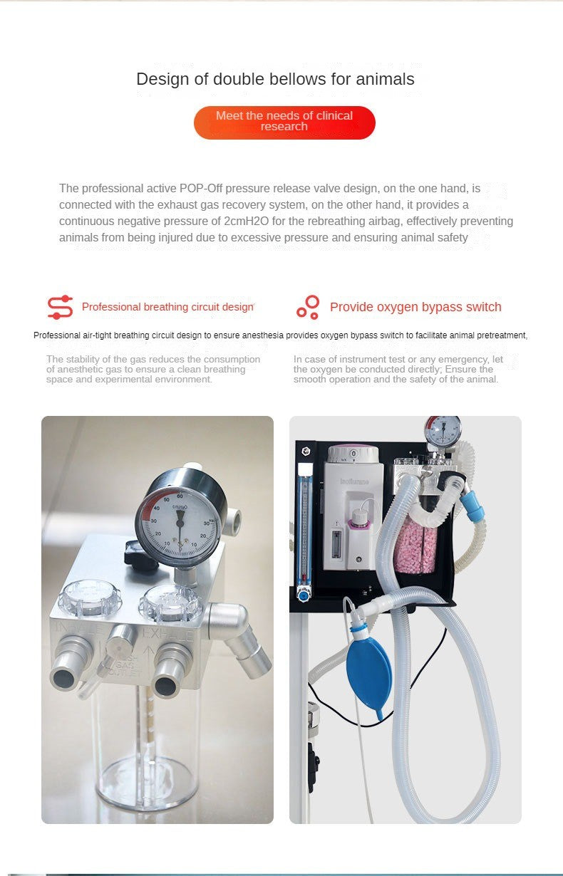 DV1200V5 Pet Anaesthesia Machine Cats Dogs Respiratory Anaesthesia Machine Aluminium Type Pet Veterinary Anaesthesia Respirator