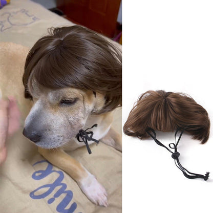 Perucas para Pets Cabeças Explosivas Acessórios de Cabelo de Palhaço para Cães e Gatos Fantasias de Halloween Natal Acessórios Divertidos para Cabelo de Pets