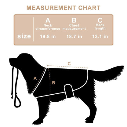 Equipamento de fisioterapia com LED de luz vermelha para uso veterinário, para alívio e redução da dor em cães de estimação.