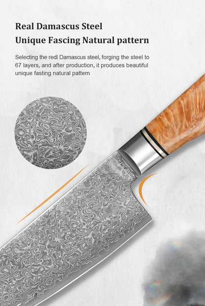 8 Inch Chef Knife 67-layers Damascus VG10 Steel Kitchen Knife Pro Cleaver Kitchen Sharp Knife