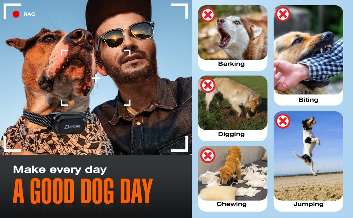 Coleira de Adestramento Digital para Cães 800m à Prova d'Água Recarregável com Controle Remoto para Todos os Tamanhos de Cães com Tela LCD Choque Vibração Som