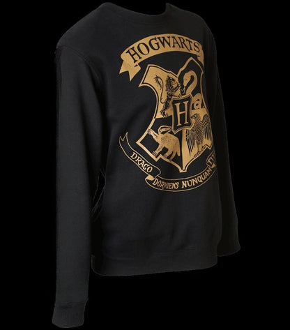 Moletom com o Brasão da Casa da Escola de Bruxaria: Presente para Fãs de Potter, Suéter, Moletom de Férias Disney, Moletom Combinando Disney