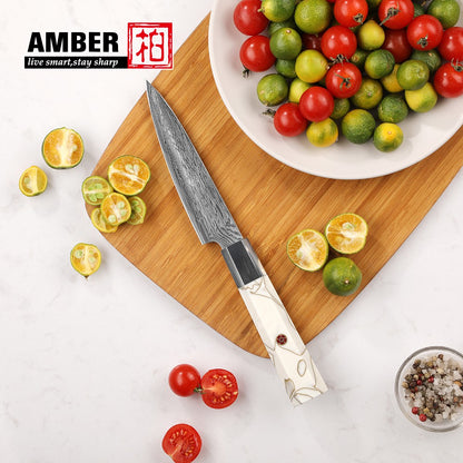 Conjunto de Facas de Chef, Conjunto de Facas de Cozinha Damasco Japonês de 6 Peças, Conjunto de Facas de Chef Profissionais de Aço Premium de 67 Camadas, com Cabo de Resina de Malha Branca