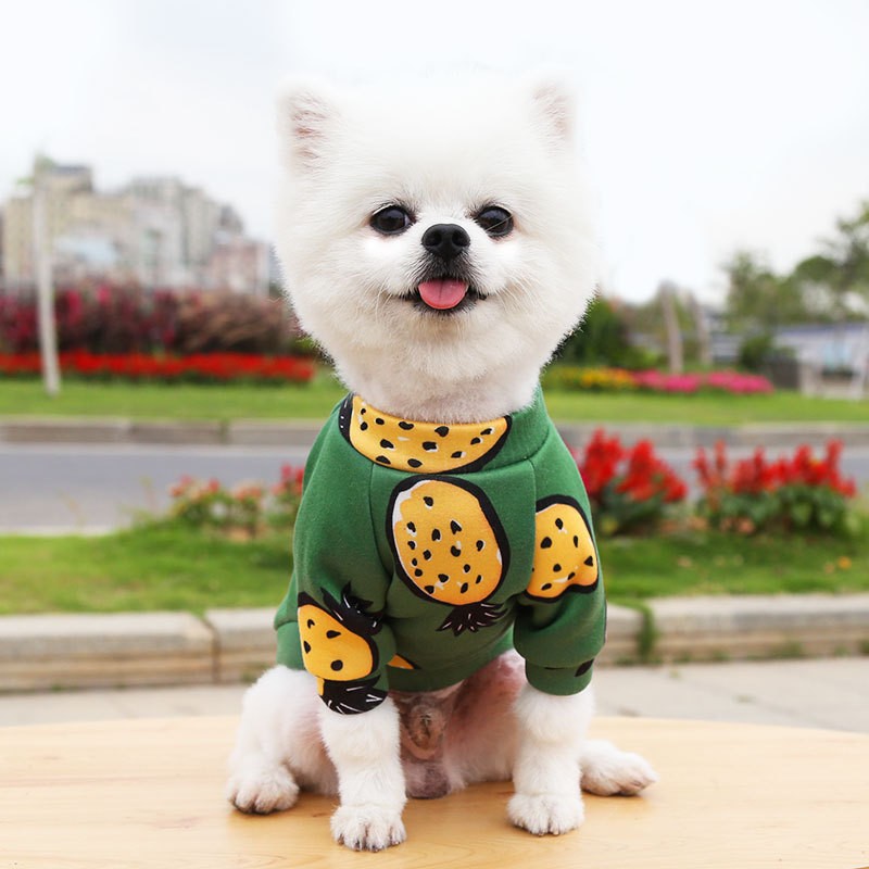 Casaco com capuz para cães pequenos, roupas quentes de inverno para animais de estimação para Bulldog Chihuahua Shih Tzu Moletom para Cães e Gatos