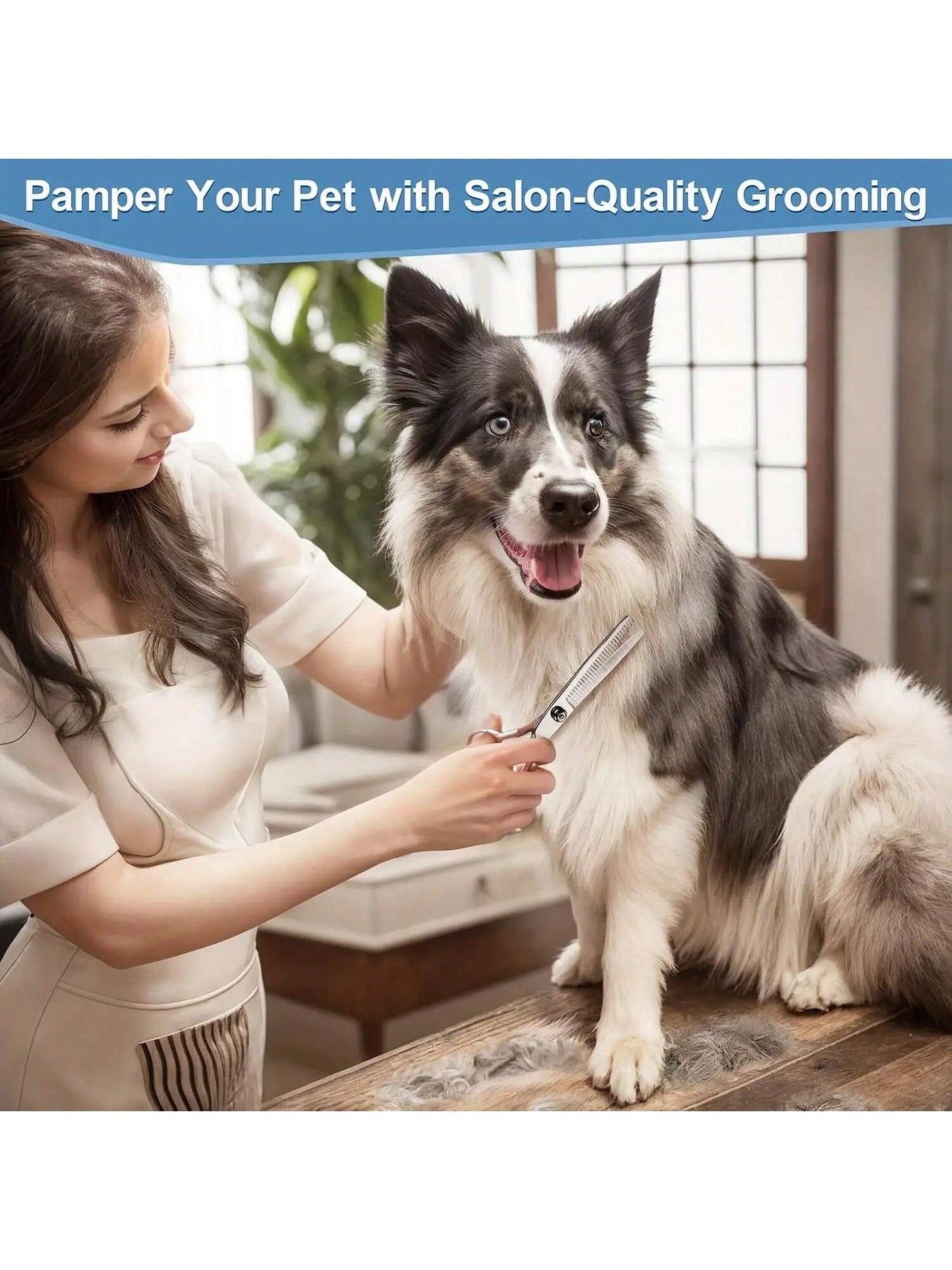 Conjunto de 5 Tesouras Profissionais de Estética para Animais de Estimação - Essencial para Animais de Estimação, Apenas para Móveis, Caixa de Armazenamento Preta