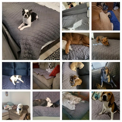 Capa para Cama de Cachorro Dupla Face Impermeável Manta Protetora de Sofá para Cães