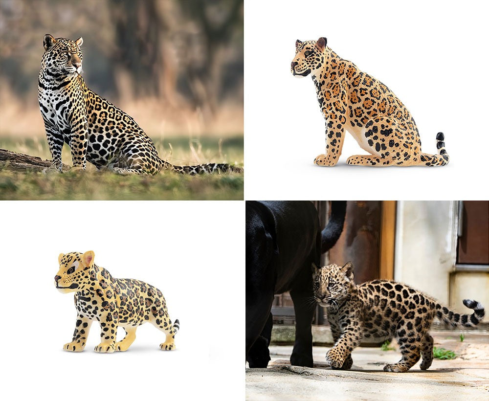 7Pcs Simulation Cheetah Family Wildlife Animal Model Toy Mini Jaguars Figures Dolls Action Figurines Toys for Children Set Gift