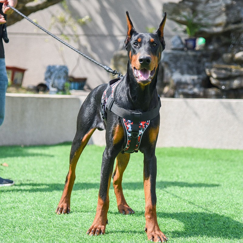 Coleira de cachorro à prova de explosão e refletiva para peitoral de cães de médio e grande porte