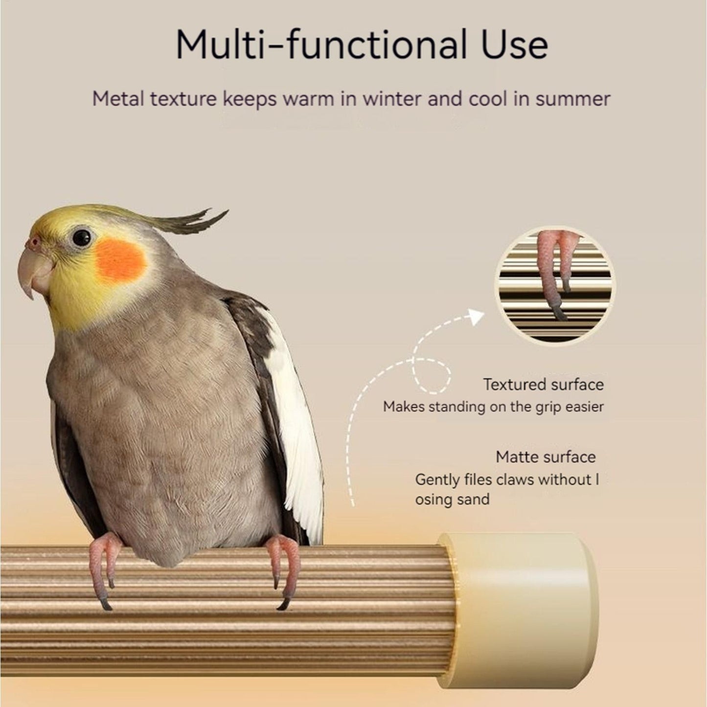 Poleiro de Pássaros Aquecido com Termostato Automático, Suporte Aquecedor Seguro com Design Anti-Mordida para Periquitos, Conures, Papagaios, Suprimentos para a Noite e Inverno