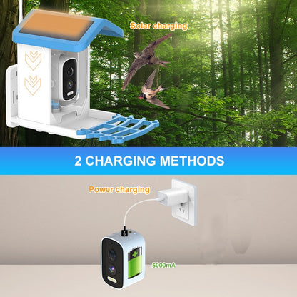 Comedouro Inteligente Solar para Pássaros com Câmera de 4MP Identificação de Pássaros por IA Visão Noturna Design à Prova de Intempéries para Uso Externo