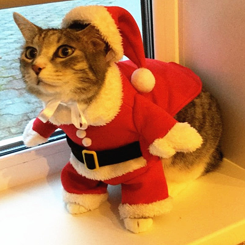 Roupas de Gato de Natal Fantasia Engraçada de Papai Noel para Gatos Pequenos Cães de Natal Ano Novo Roupas de Gato de Estimação Inverno Roupa de Gatinho