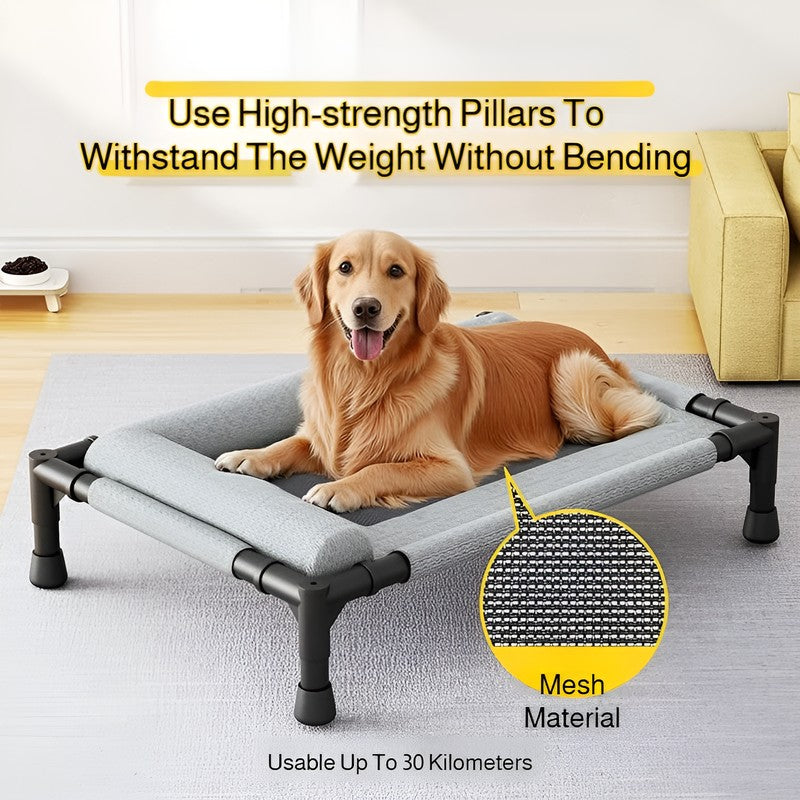 Winter Moisture-Proof Large Pet Bed Removable And Washable Off-The-Ground Bed Breathable Mesh Camp Bed Universal Pet Bed
