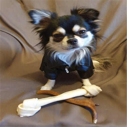 Casaco de Cachorro Padrão Águia Gloriosa Jaqueta de Couro PU Macio Impermeável para Exterior Roupas da Moda para Cães Pequenos (XXS-XXL)