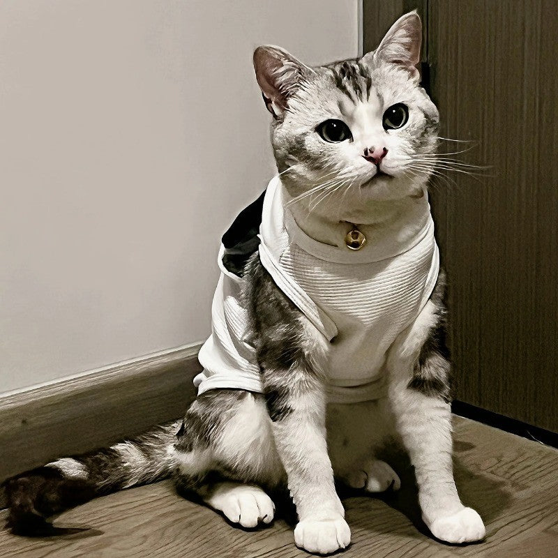 Colete Fofo para Pets Tecido Waffle Respirável Macio e Confortável com Fivela de Tração Adequado para Cães e Gatos na Primavera/Verão