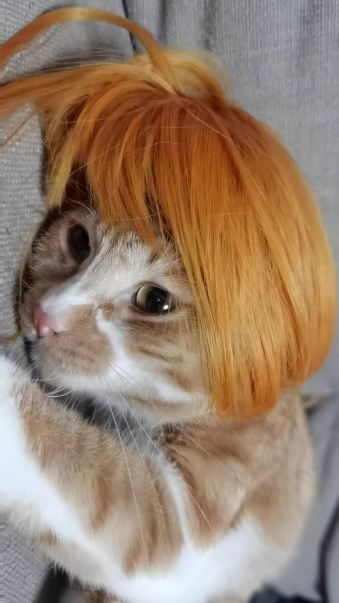 Peruca para Animais de Estimação, Peruca para Cachorro, Suprimentos para Animais de Estimação, Acessórios de Halloween para Animais de Estimação, Peruca de Cabelo Cacheado, Cabelo Liso, Peruca para Gato, Pode Ser Aparada (DIY)