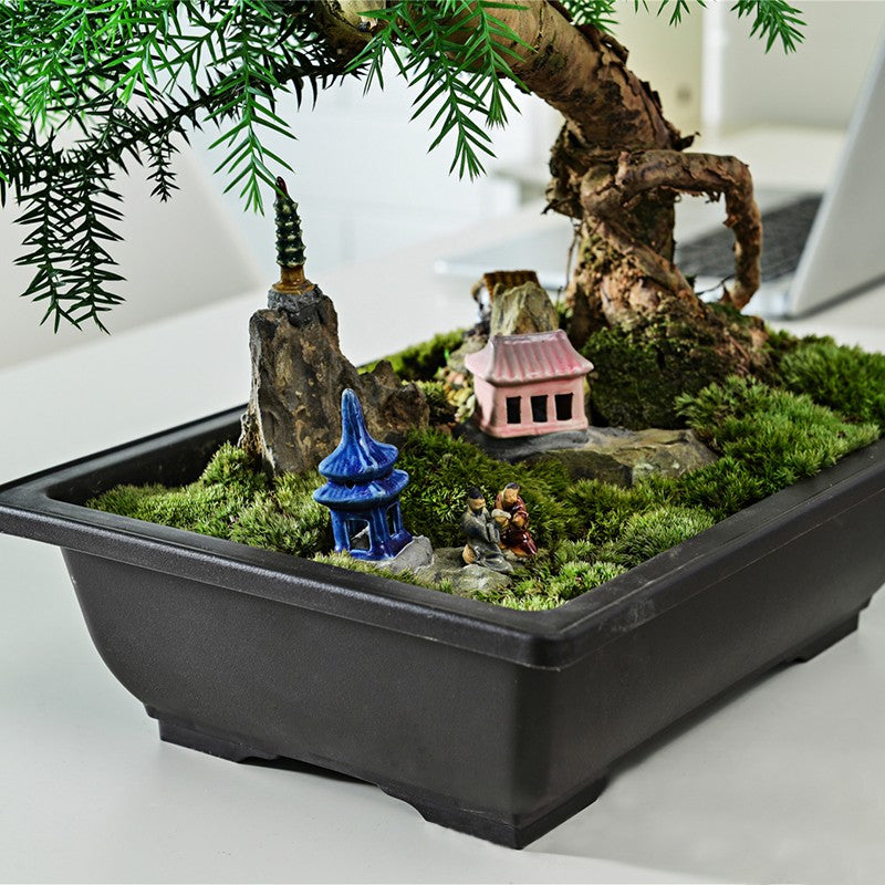 Vasos de Flores Retangulares de Argila Roxa Imitando Vasos para Plantas de Jardim ao Ar Livre Paisagismo Bonsai macetas para plantas