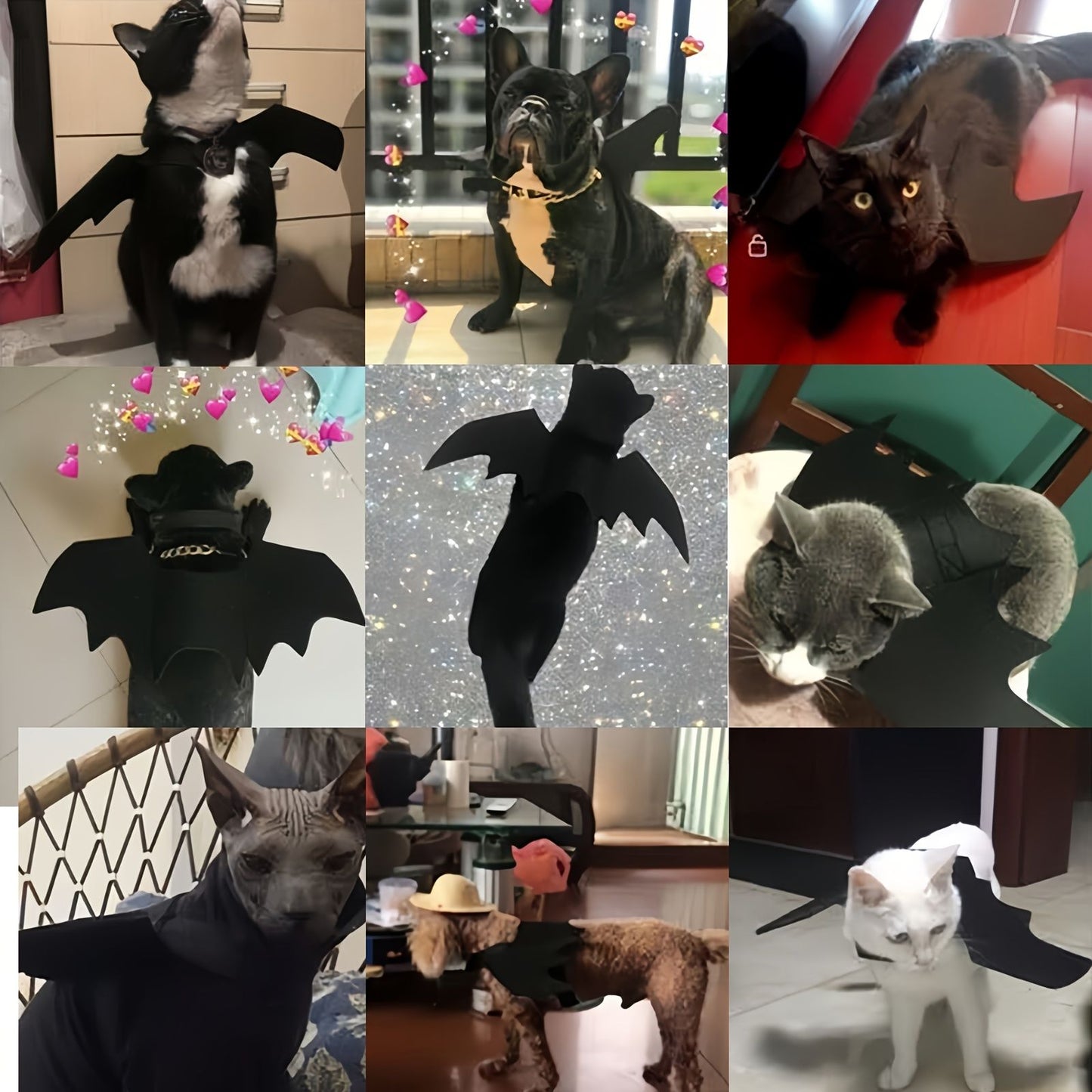 Asas de Morcego Pretas Ajustáveis, Fantasia de Halloween para Pets em Poliéster Macio, Perfeito para Gatos, Ideal para Brincadeiras de Interpretação e Diversão à Fantasia