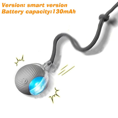 Novo Brinquedo Interativo de Bola para Cães, Bola Automática para Cães Recarregável, Brinquedo Interativo Inteligente para Filhotes, Bolas Inteligentes para Cães
