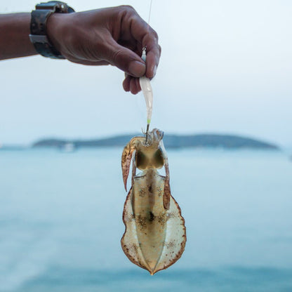 Luminous Lure Octopus Cuttlefish Fishing Bait Simulation with Squid Jig Hook Lure Hook Fishing Tackles Wood Shrimp Squid Lures