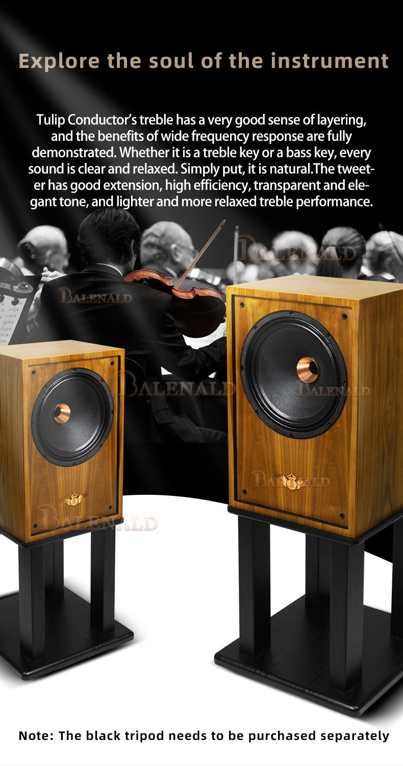 hifi speaker Banlong de alta fidelidade de 12 polegadas com bass coaxial de estante, alto-falantes hifi de alta fidelidade passivos em folha de madeira