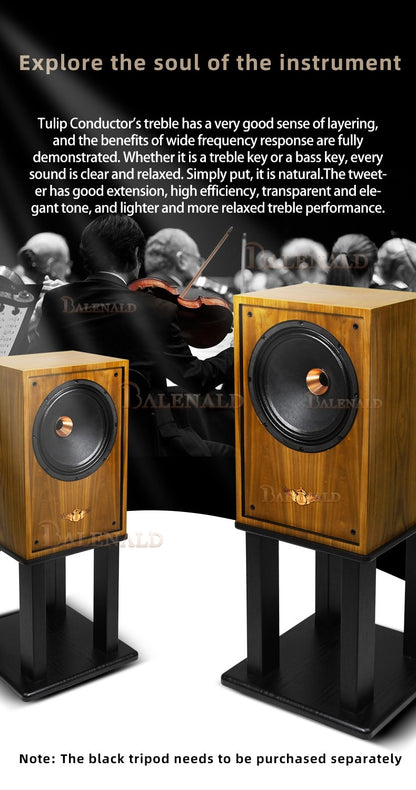 hifi speaker Banlong de alta fidelidade de 12 polegadas com bass coaxial de estante, alto-falantes hifi de alta fidelidade passivos em folha de madeira
