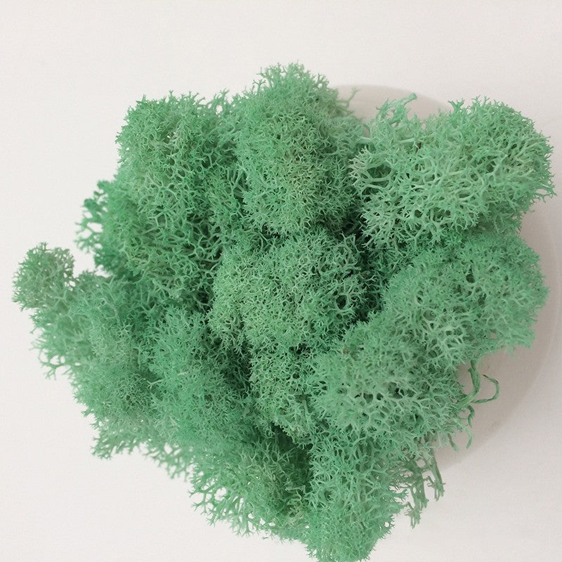200/1000g Quality Artificial Green Plant Eternal Life Moss Fake Flower Moss Grass Home Living Decorative Wall DIY Micro Landscap