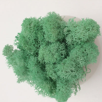 200/1000g Quality Artificial Green Plant Eternal Life Moss Fake Flower Moss Grass Home Living Decorative Wall DIY Micro Landscap