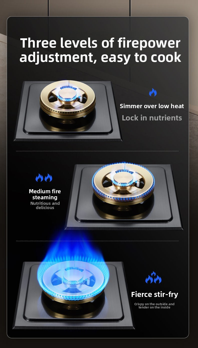 Dual Fuel 3500W Gas Electric Cooker Household Concave Induction Cooktop Class Energy Built-in Countertop Natural Gas Easy Table