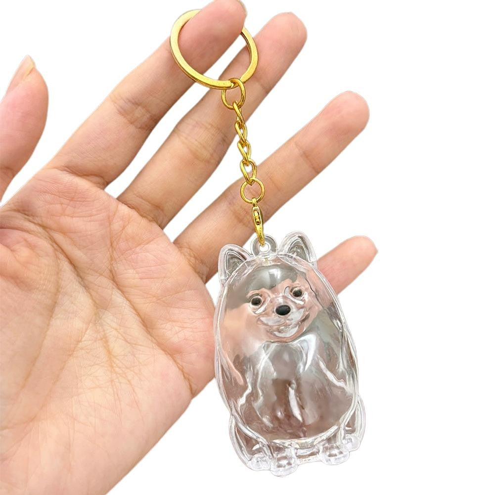 Dog Hair Collection Pendant Hair Storage Box Charm Pet Cute Keychains Clear Plastic Pet Hair Capsule Souvenirs DIY Gifts