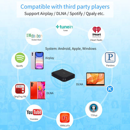 Wireless WIFI Audio Receiver for Airplay Spotify DLNA NAS Multiroom Sound Stream Bluetooth 5.0 Music box Optical Adapter WR320