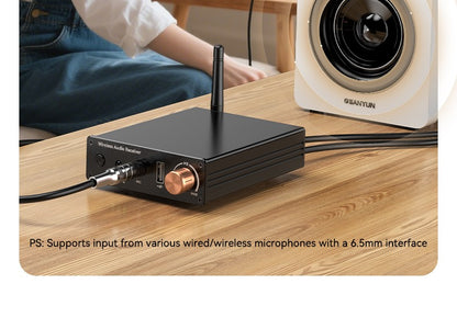 Car Bluetooth-compatible Wireless Audio Adapter 6.0 Audio Receiver U-Disk 6.5MM Karaoke Wireless Music Amplifier for Speaker