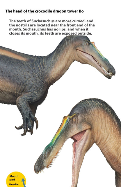 Suchomimus Thabo Dinosaur King Growth Companion Modelo 67 Dinossauro Miniatura Estatueta Colecionável Ornamento Presente de Festival para Amigos